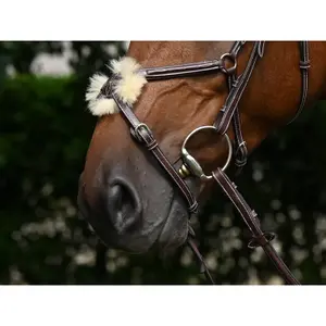 Anatomical crossed noseband riding bridle Jump'In Thursday image-2