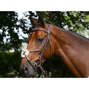 Anatomical crossed noseband riding bridle Jump'In Thursday image-1