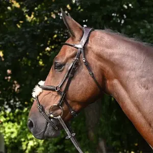 Anatomical crossed noseband riding bridle Jump'In Wednesday image-0
