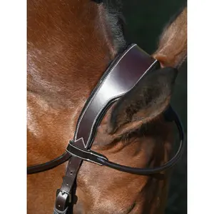 Anatomical crossed noseband riding bridle Jump'In Wednesday image-2