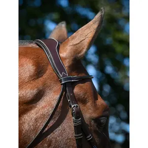 Anatomical crossed noseband riding bridle Jump'In Wednesday image-3
