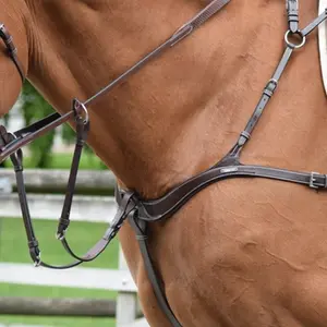 Five Point Breastplate and Martingale for Horse Jump'In image-0