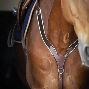 Elastic Horse Hunting Collar with Martingale Jump'In image-1