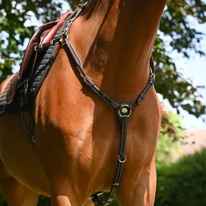Hunting collar for horse Jump'In Wednesday image-0
