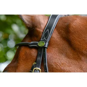 Stirnband für Pferd Jump'In Monday image-2