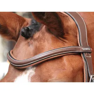Frontal for horse Jump'In Paris image-1