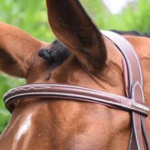 Frontal for horse Jump'In Paris image-0