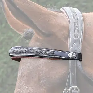 Frontal for horse Jump'In Crystal image-0