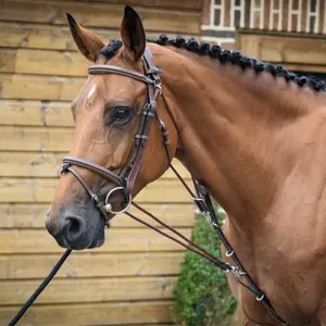 Gogue voor paard Jump'In One