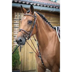 Gogue voor paard Jump'In One image-1