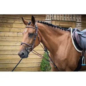 Gogue voor paard Jump'In One image-2