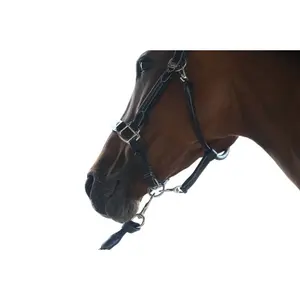 Halter for horse Jump'In Week image-4