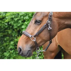 Halter for horse Jump'In Week image-2