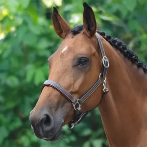Halter for horse Jump'In Fancy