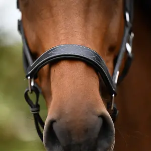 Halter for horse Jump'In Fancy image-1