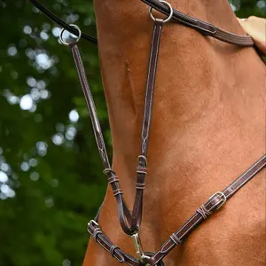 Martingale per cavallo da collare Jump'In Monday et Tuesday image-0