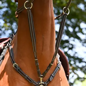 Martingale per cavallo da collare Jump'In Wednesday et Crystal image-0