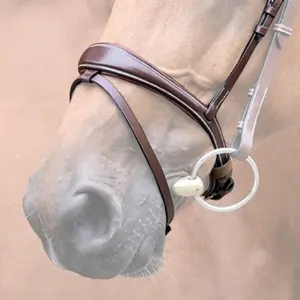 Combination horse noseband Jump'In One Bruxelles image-0