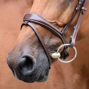 Combination horse noseband Jump'In One Bruxelles image-1