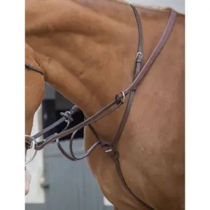 Martingale for horse Jump'In à anneaux image-0