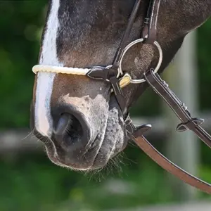 Horse Bridle with Rope Jump'In Allemande image-1