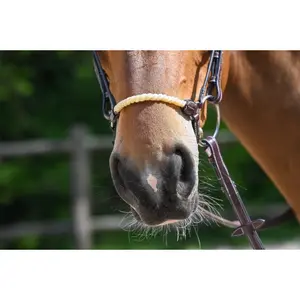 Horse Bridle with Rope Jump'In Allemande image-2
