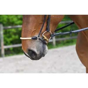 Horse Bridle with Rope Jump'In Allemande image-3