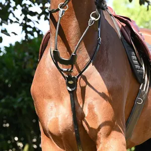 Martingale per cavallo elastica con anelli Jump'In image-2