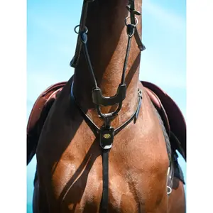 Martingale per cavallo elastica con anelli Jump'In image-3