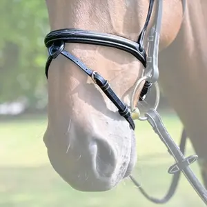 Crossed horse noseband Jump'In Monday image-0