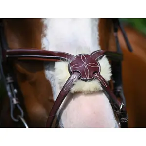 Combination horse noseband Jump'In Tuesday image-1