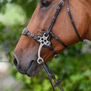 Filialer af hackamore Jump'In image-0