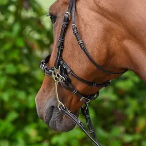 Hackamore voor paard Jump'In Week image-1