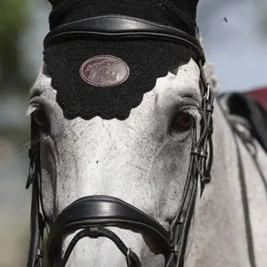 Briglia di Bruxelles Jump'In Collection One image-1