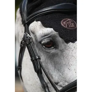 Briglia di Bruxelles Jump'In Collection One image-2