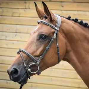 Briglia londinese Jump'In Collection One