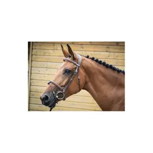 Briglia londinese Jump'In Collection One