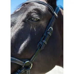 Briglia new york Jump'In Collection One image-2