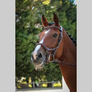 Briglia new york Jump'In Collection One image-1