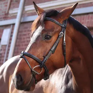 Briglia Paris Jump'In Collection One