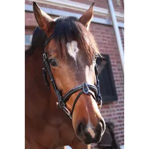 Briglia Paris Jump'In Collection One image-1