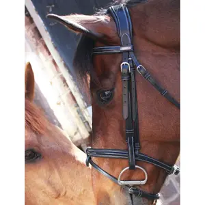 Briglia Paris Jump'In Collection One image-4