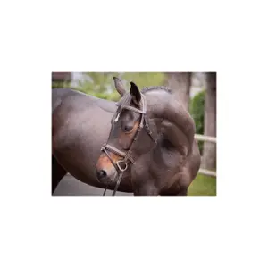 Briglia di cristallo Jump'In Collection Week