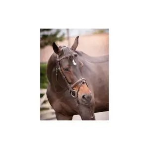 Briglia di cristallo Jump'In Collection Week image-1