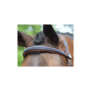 Briglia di cristallo Jump'In Collection Week image-3