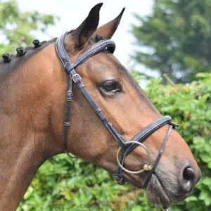 Briglia di cristallo Jump'In Collection Week