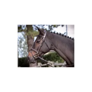 Briglia mercoledì Jump'In Collection Week