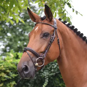 Briglia mercoledì Jump'In Collection Week