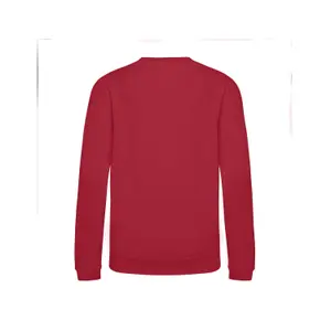 Sweatshirt til børn Just Hoods Awdis image-1