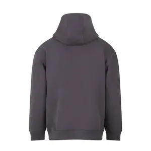 Thick Zip-Up Hoodie Just Hoods Vision image-2